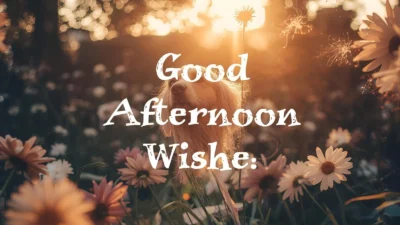 Good Afternoon Wishes