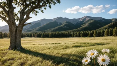 big beautiful bill meaning