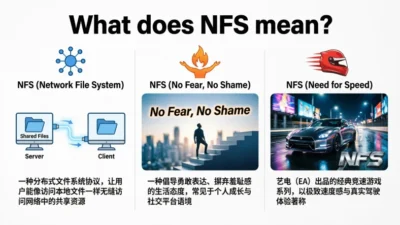 what does nfs mean
