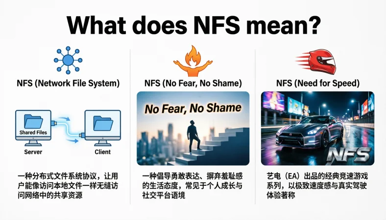 what does nfs mean