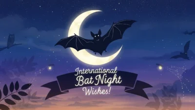 international bat night wishes