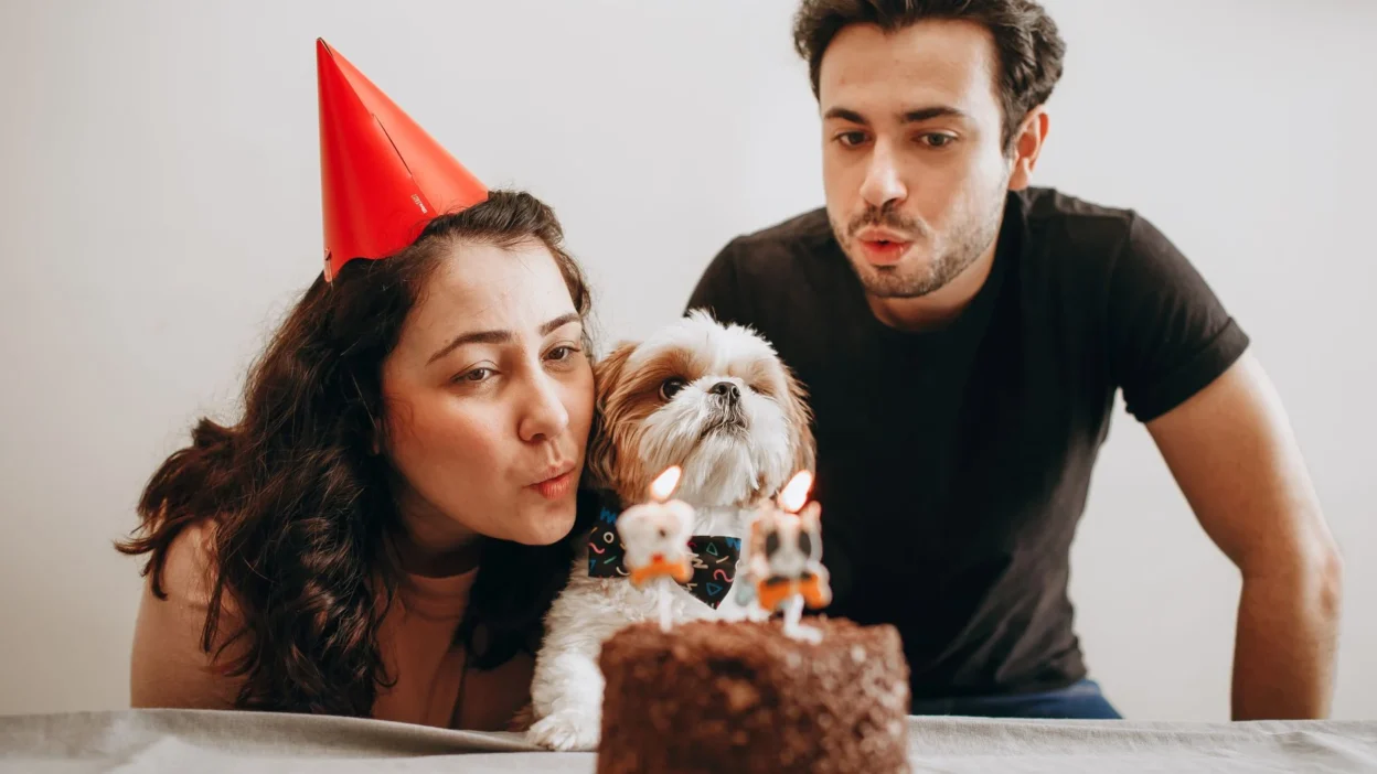 romantic birthday couple