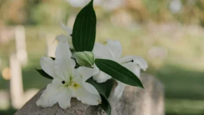 white lily sympathy flowers